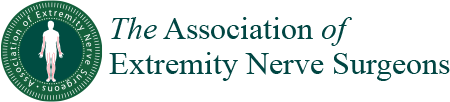 AENS 2024 Dissections